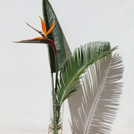 Apartment Casa Blanca *